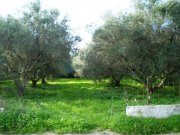 Kokkino Chorio Das Grundstück im beliebten Almyrida Village-Resort Grundstück kaufen